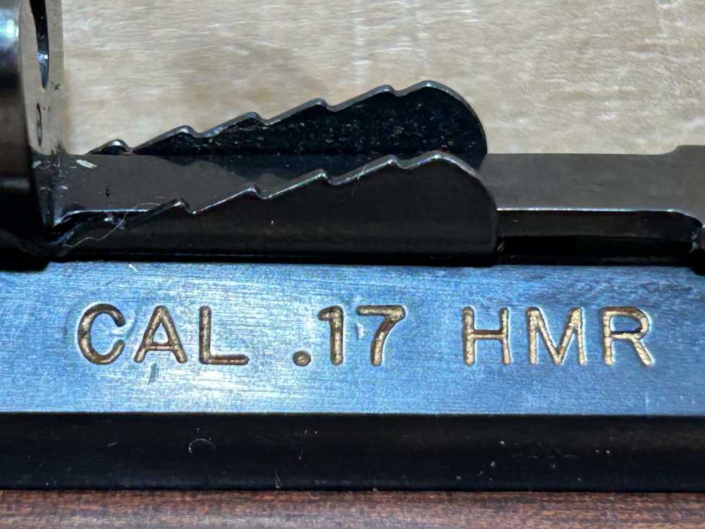 HENRY GOLDEN BOY 17 HMR 30335-img-3