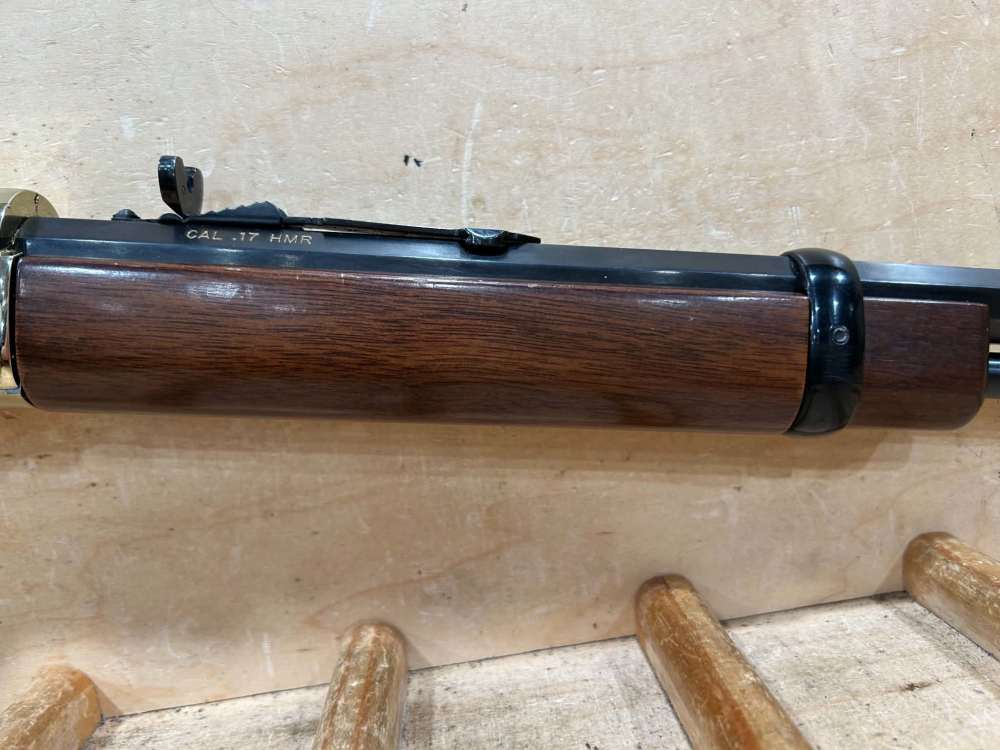 HENRY GOLDEN BOY 17 HMR 30335-img-8