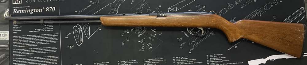 Sears & Roebuck Model 25, 22 Short, Long, Long Rifle, SEMI-AUTO - NICE-img-17