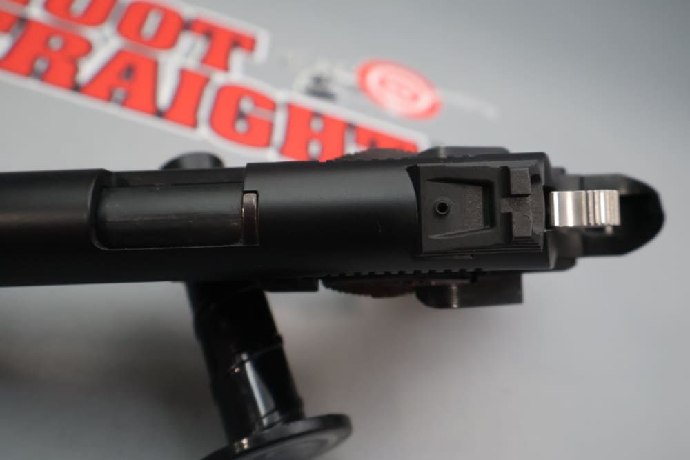 German Sport Guns (GSG) 1911 5" .22 LR -img-18