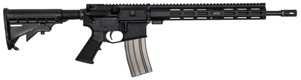 Del-Ton Echo 316L 5.56mm 16" Barrel 1- 30 Round Magazine Black Rifle-img-0