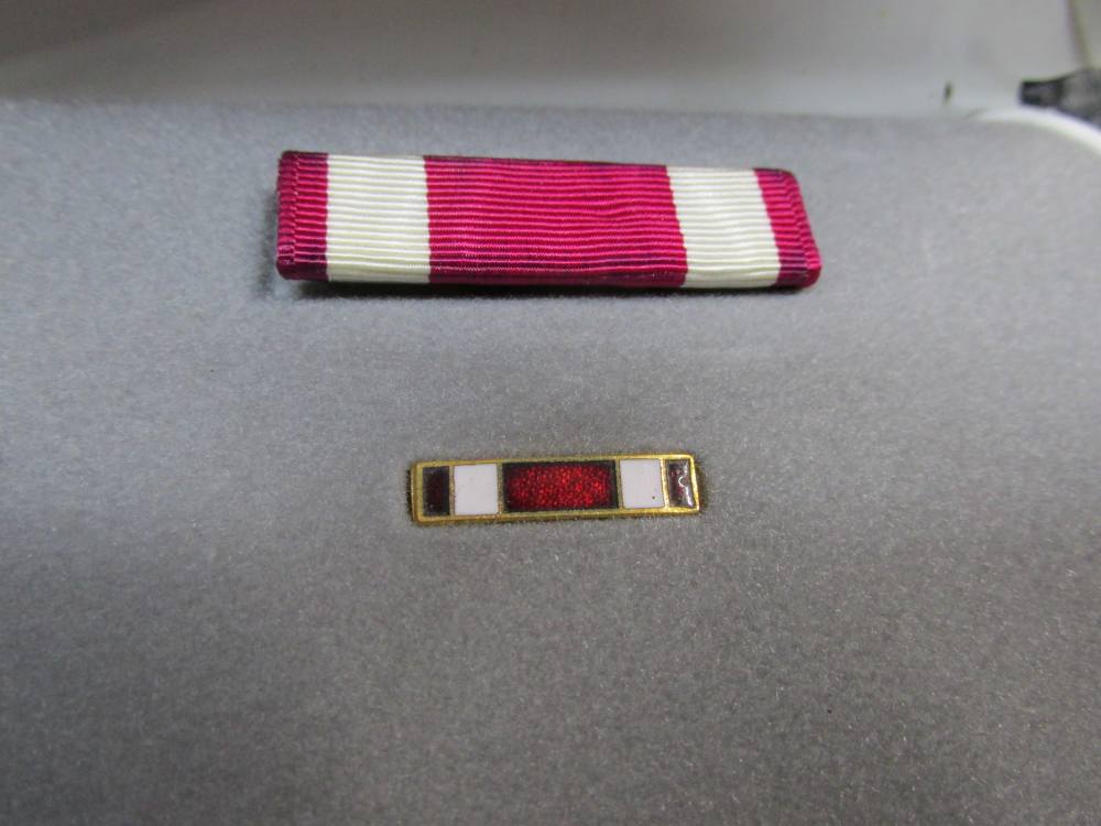 2-U.S. MERITORIOUS SERVICE MEDALS/RIBBONS/LAPEL PINS IN CASES-NICE LOOKING-img-9