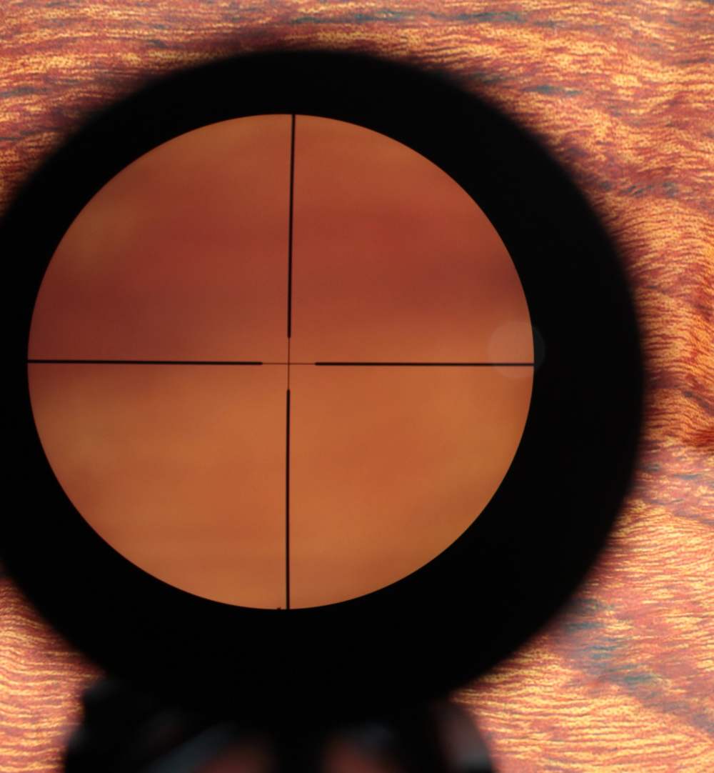 Interarms Mark X Tasco scope .243 Win-img-40
