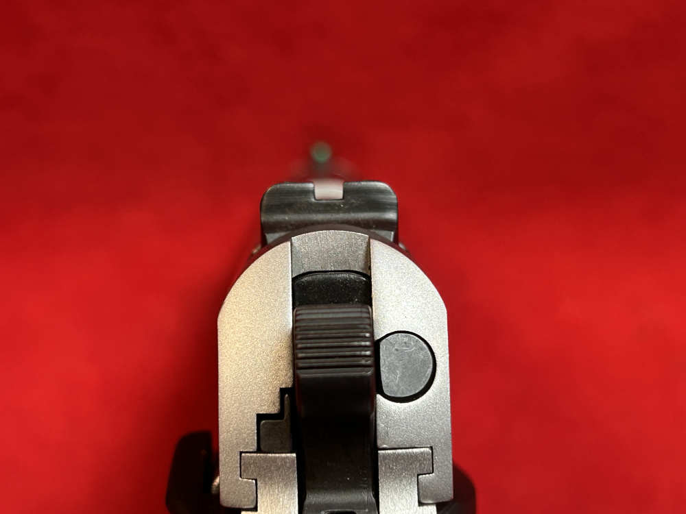PARA-USA Expert 14-45, Stainless, 45 ACP, 5” Barrel, As New-img-9