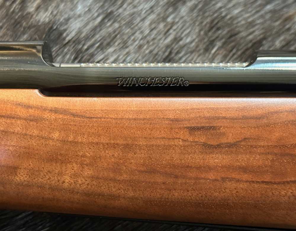 WINCHESTER MODEL 70 SUPER GRADE 264 WIN MAG 26" GOOD WOOD, FREE SAFARI-img-15