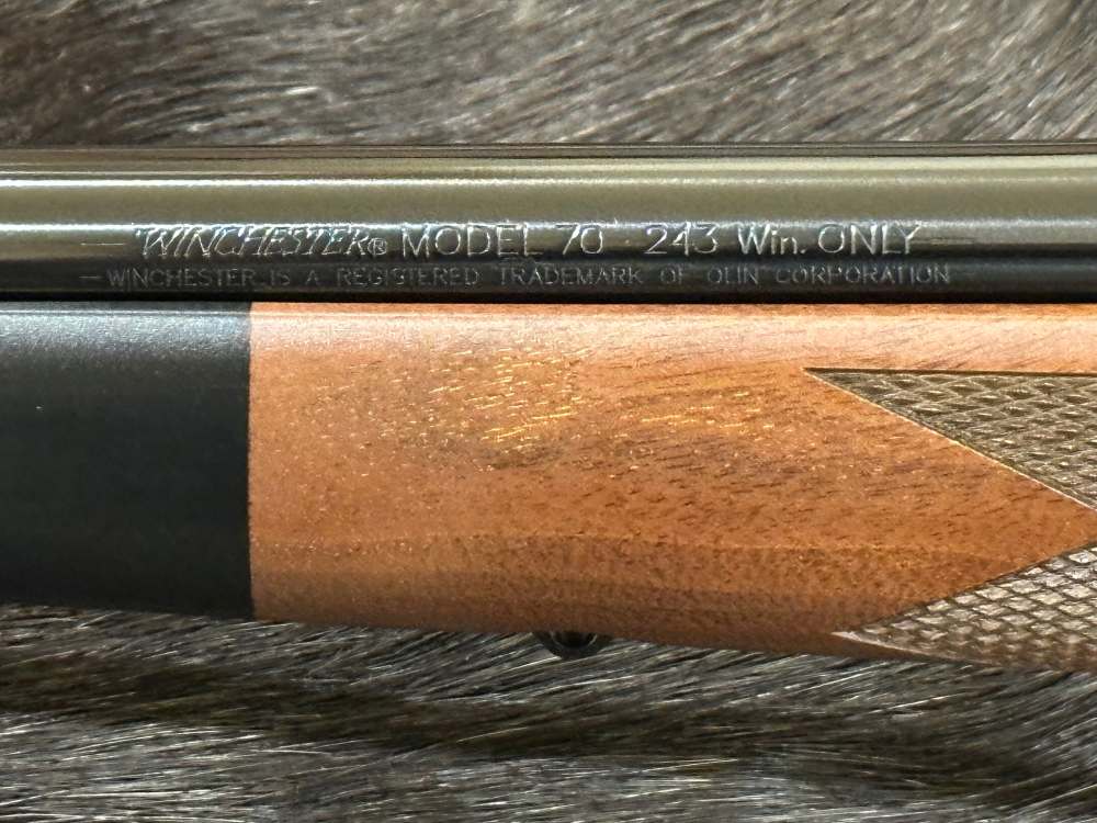WINCHESTER MODEL 70 SUPER GRADE 243 Win 22" BARREL, GOOD WOOD, FREE SAFARI-img-13