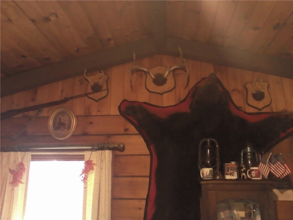 Black Bear 63" X 64" Prime-Beautiful-Perfect-Wisconsin Mount-img-1