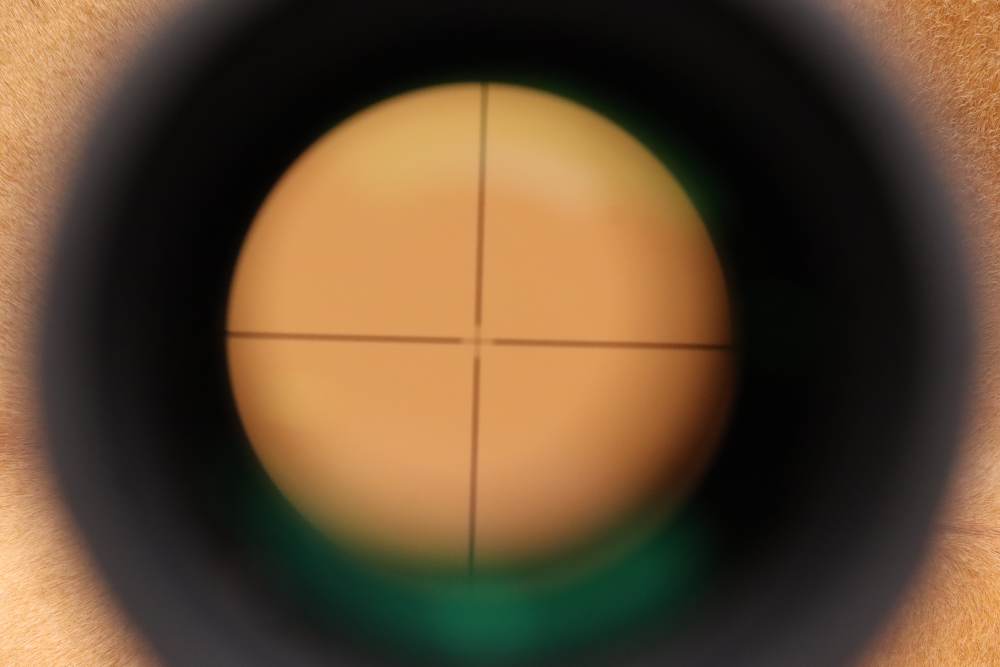 Henry H010B Big Boy .45-70 22" Brass and Blued Lever-Action Rifle w/ Scope-img-56