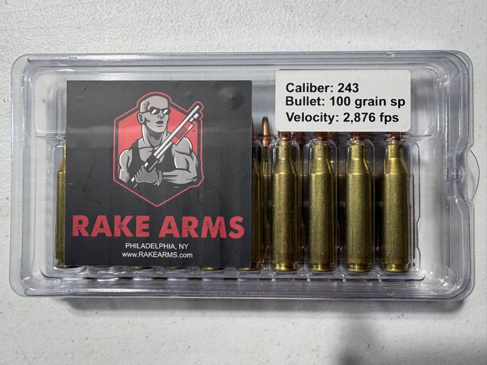 243 Winchester 100 grain Soft Point 2876 FPS 80 rounds-img-0