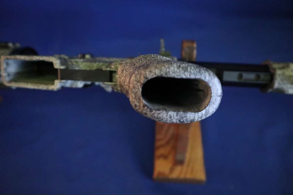 Bushmaster xm15 e2s snake skin factory finish in 98% minty condition -img-35