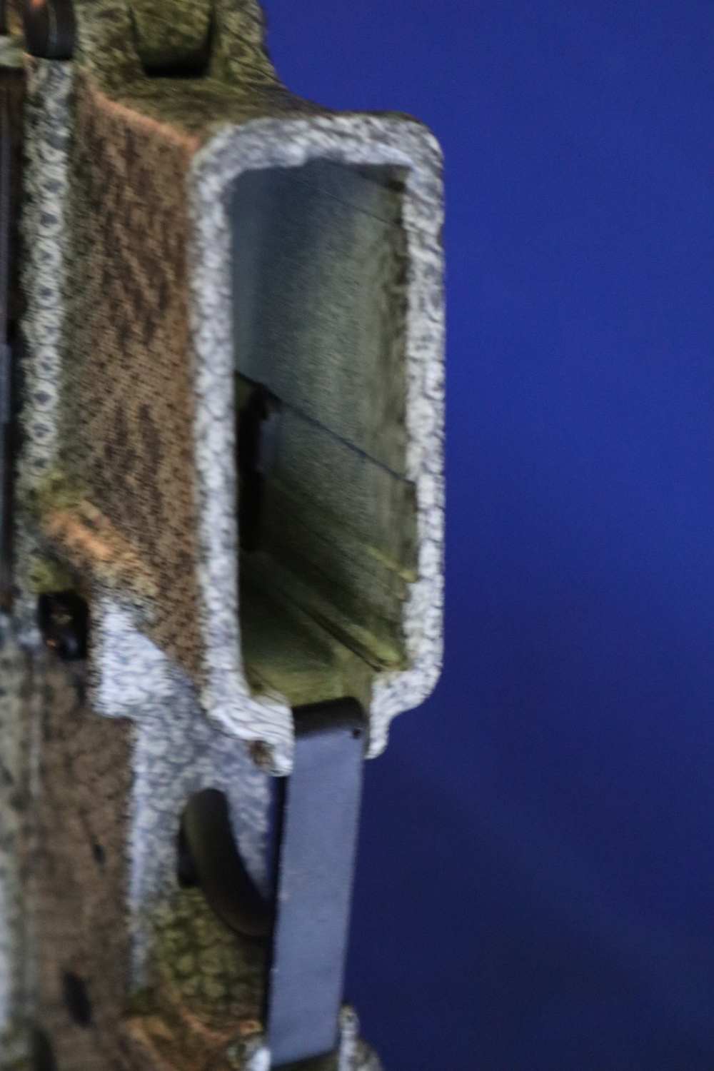 Bushmaster xm15 e2s snake skin factory finish in 98% minty condition -img-46