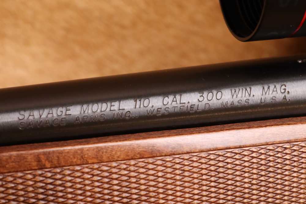 Savage Model 110 .300Win. mag 24" Blued Bolt-Action Rifle w/ Scope-img-25