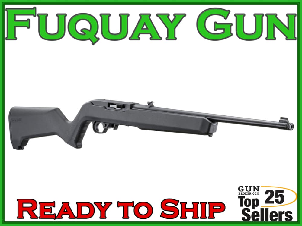 Ruger 10/22-img-1