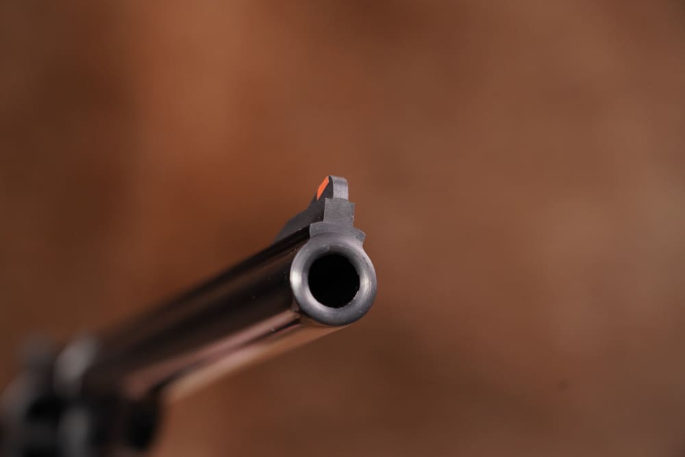Smith & Wesson S&W Model 29-3 101208 .44 Mag 8 3/8" DA/SA Revolver, 1984-85-img-16