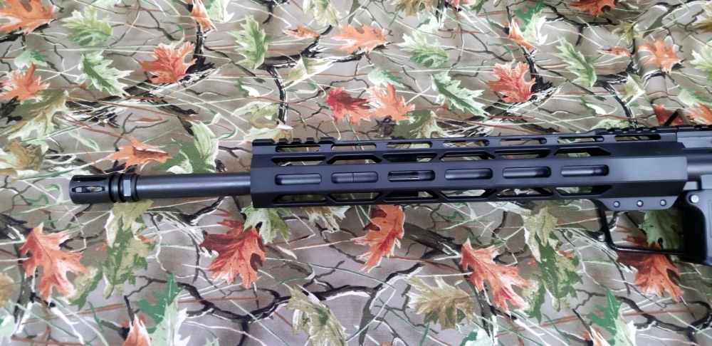 Diamondback Firearms DB15MZB 223/5.56 -img-2