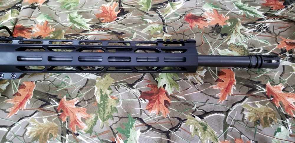 Diamondback Firearms DB15MZB 223/5.56 -img-7