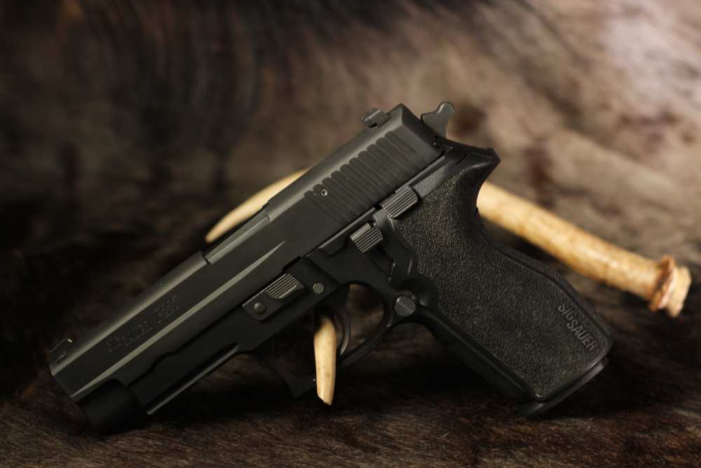 Sig Sauer P227 - 45 ACP-img-4