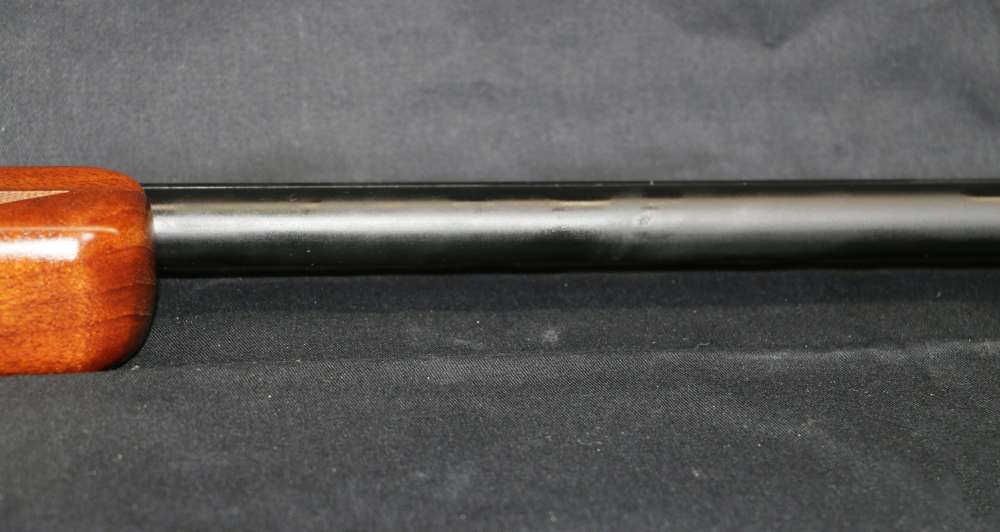 NEW! Savage 555 Trap 26" 20GA Single Shot Shotgun  23225-img-36