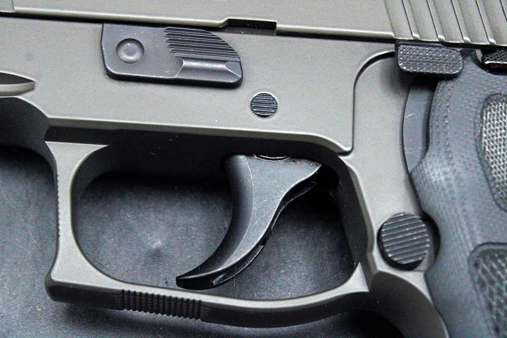 Sig Sauer P220 Legion 10mm -img-14