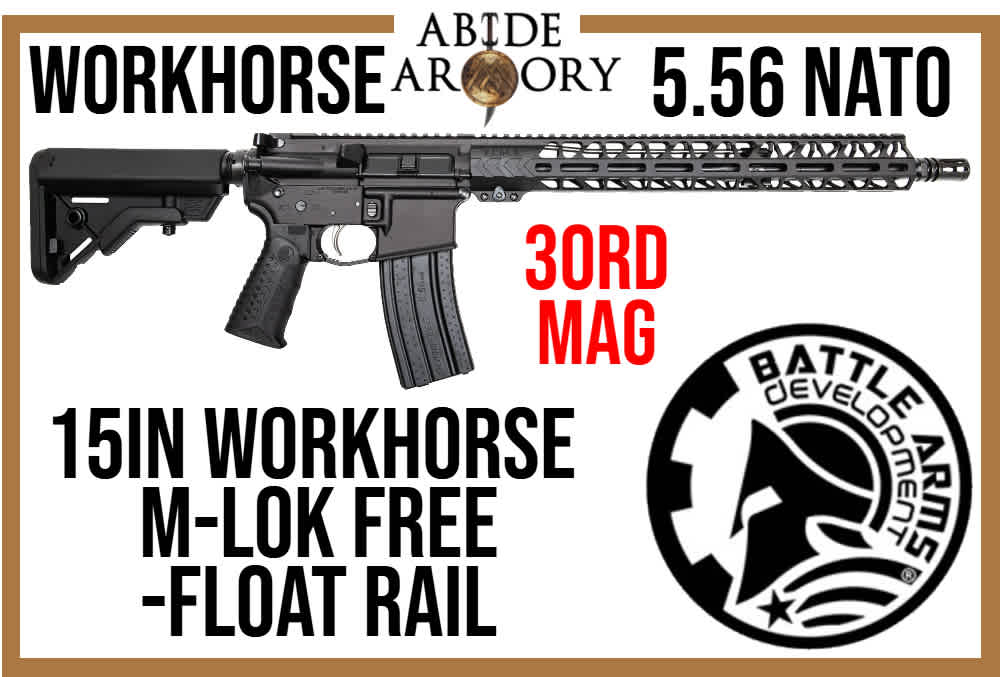 BAD AR-15-img-0