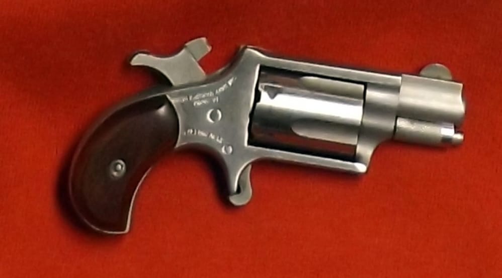 NORTH AMERICAN ARMS 22LR-img-1