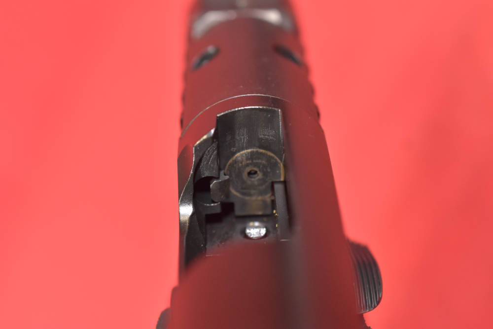 Springfield Prodigy-img-13