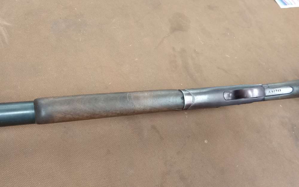 Single shot 12ga shotgun -img-9