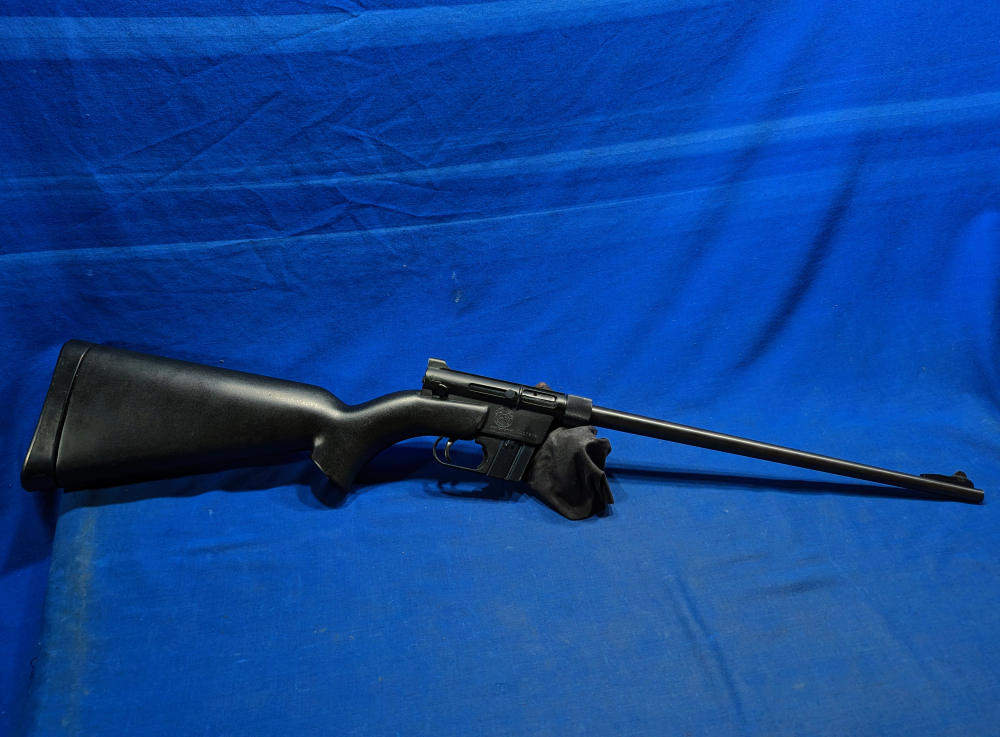 Nice AR-7 Explorer 22 Survival  Takedown Charter Armilite-img-0
