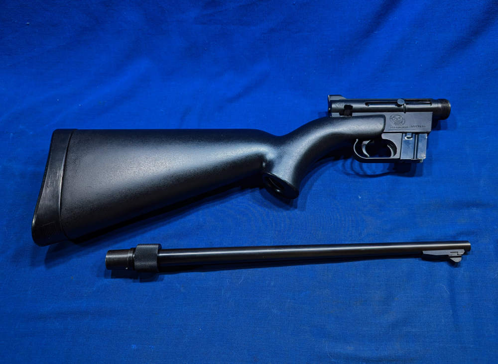 Nice AR-7 Explorer 22 Survival  Takedown Charter Armilite-img-1