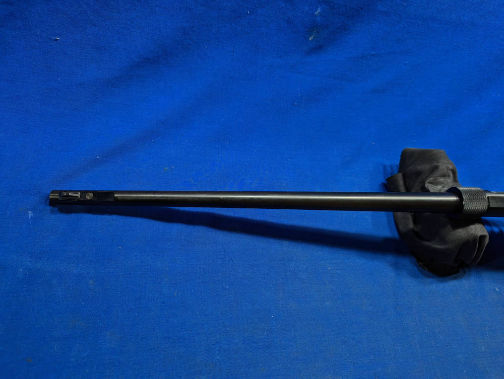 Nice AR-7 Explorer 22 Survival  Takedown Charter Armilite-img-9