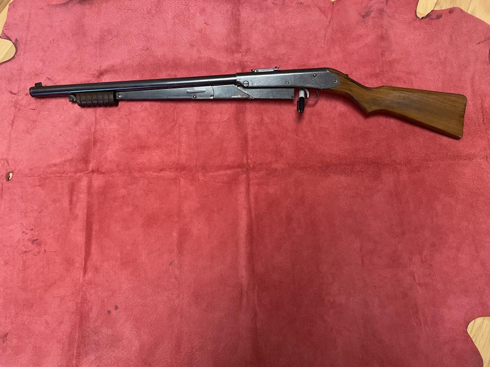 NICE DAISY 25 BB-GUN PLYMOUTH-img-0