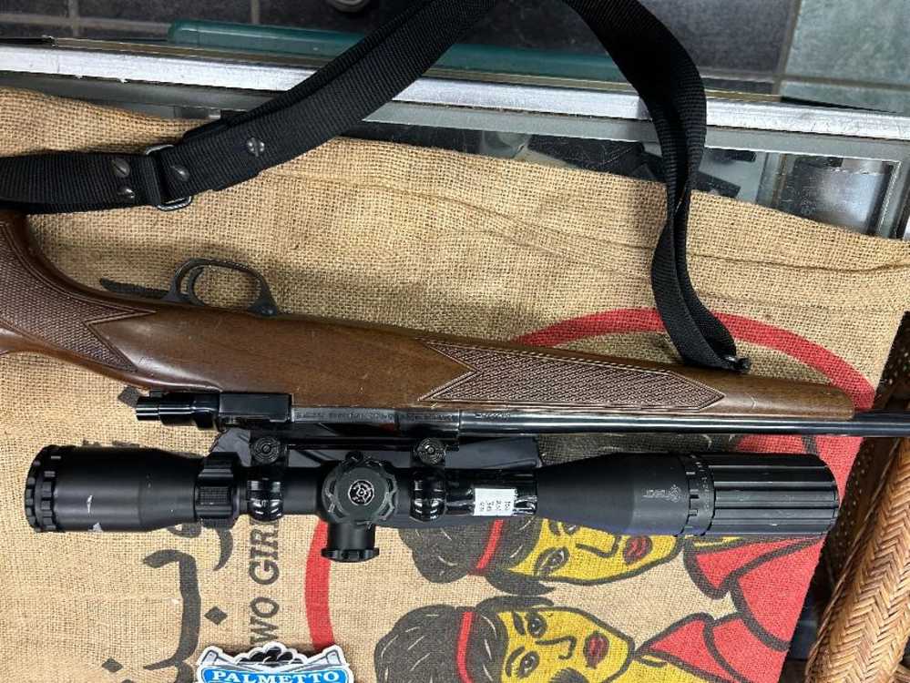 Interarms MK X MZ Target model 223-img-1