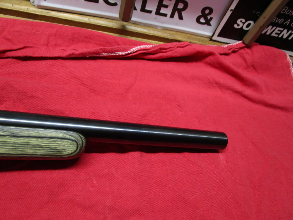Keystone Cricket Target Model -img-3