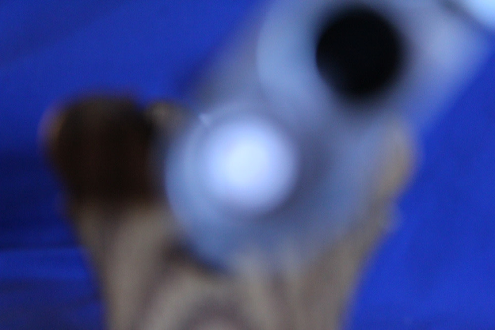 1963 Charles Daly 800 superior 20ga 2.75" 28" Skeet / Skeet Miroku Japan-img-68