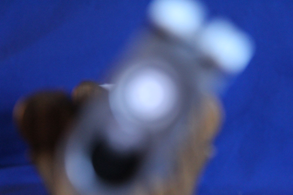 1963 Charles Daly 800 superior 20ga 2.75" 28" Skeet / Skeet Miroku Japan-img-57