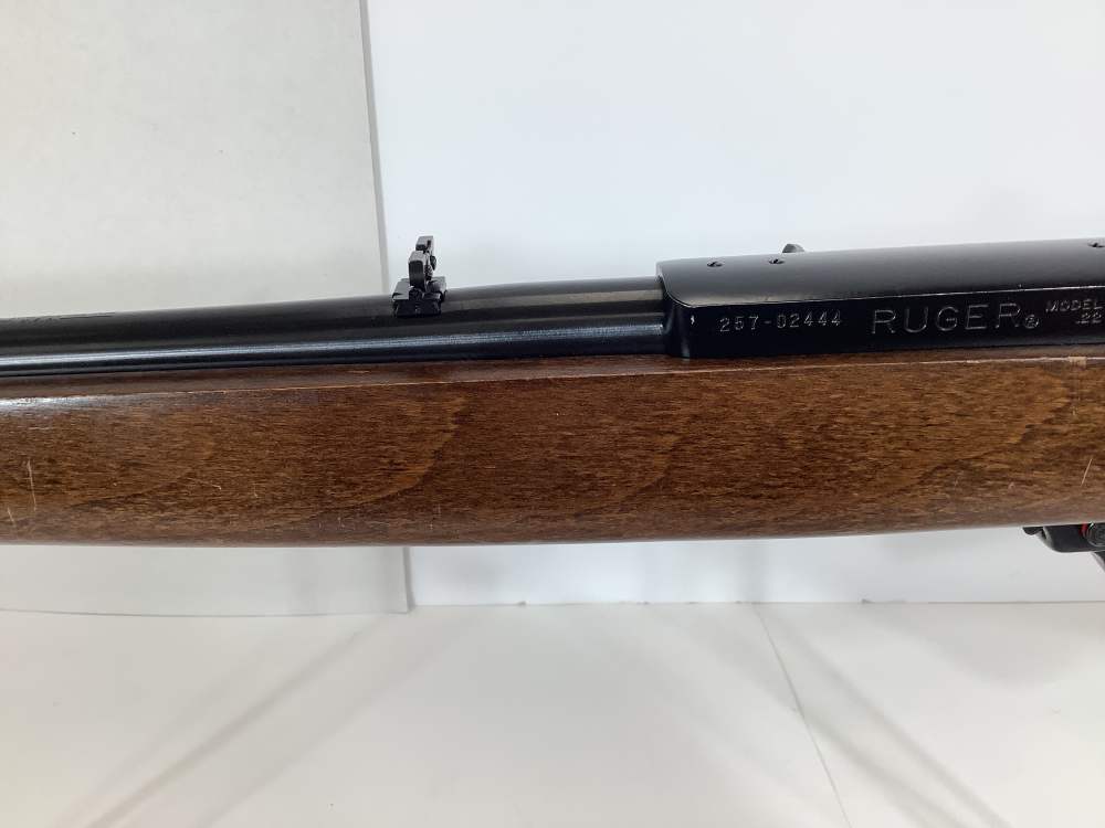 40th Anniversary Ruger 10/22-img-14