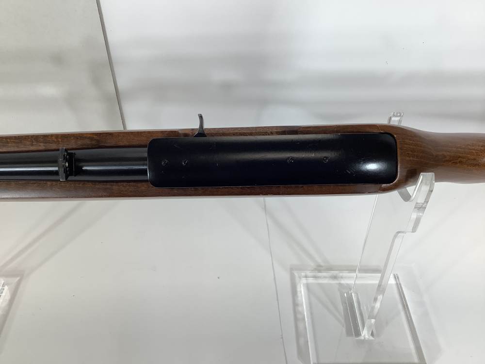 40th Anniversary Ruger 10/22-img-20