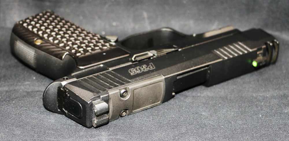 NEW! Sig Sauer P365 AXG Luxe 380ACP 3.1" 12-round-img-12