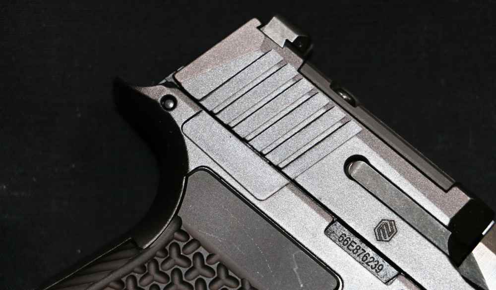 NEW! Sig Sauer P365 AXG Luxe 380ACP 3.1" 12-round-img-8