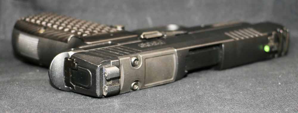 NEW! Sig Sauer P365 AXG Luxe 380ACP 3.1" 12-round-img-11