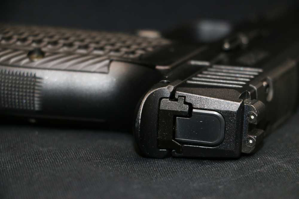 NEW! Sig Sauer P365 AXG Luxe 380ACP 3.1" 12-round-img-14
