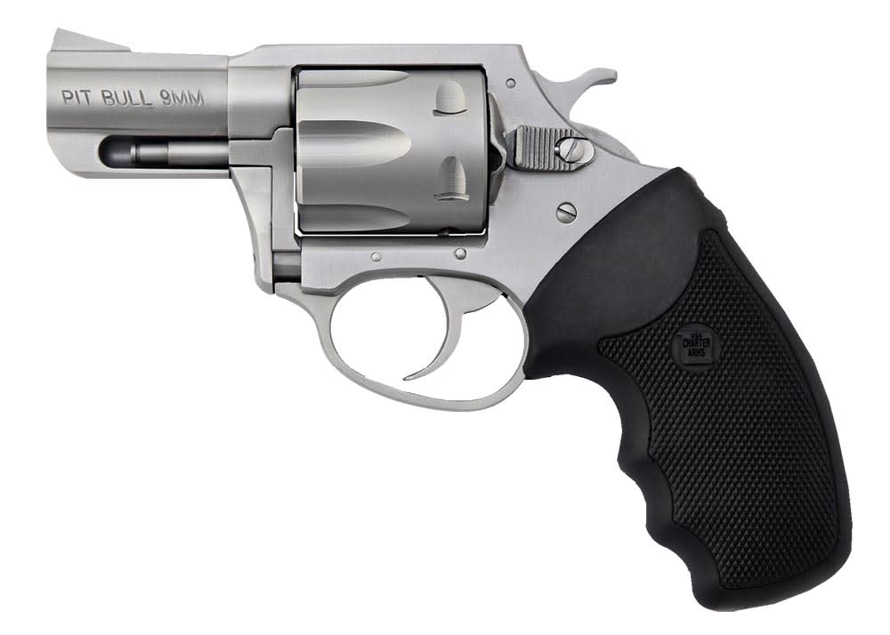 Charter Arms Pitbull 9mm Revolver 2.20 5 Matte Stainless-img-0