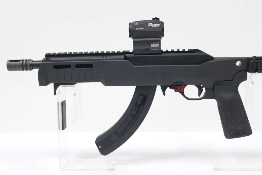 Franklin Armory F22 .22 LR with SIG Sauer ROMEO5 Red Dot 10/22 Clone-img-3