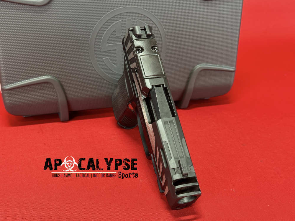 Sig P365 AXG Equinox-img-8