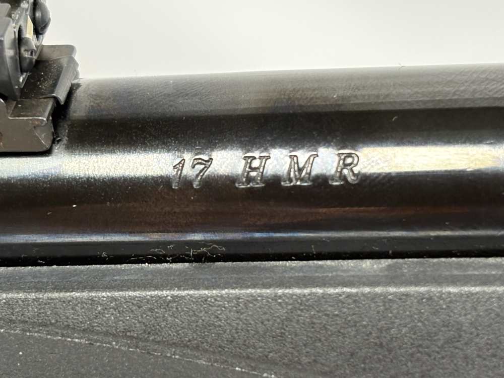Ruger American Rimfire – .17 HMR-img-15
