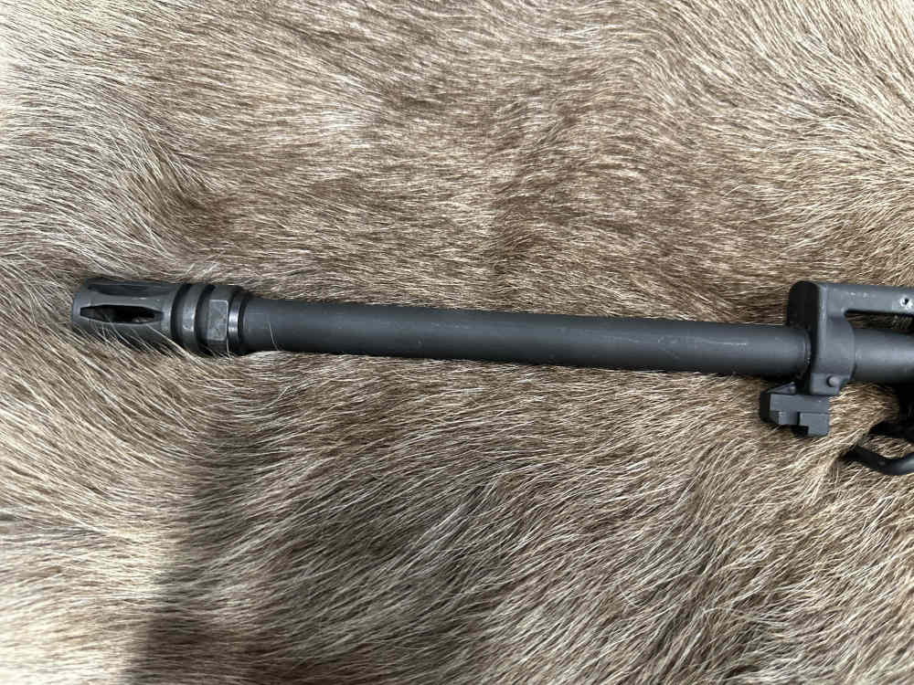 Bushmaster Carbon 15 5.56mm -img-9