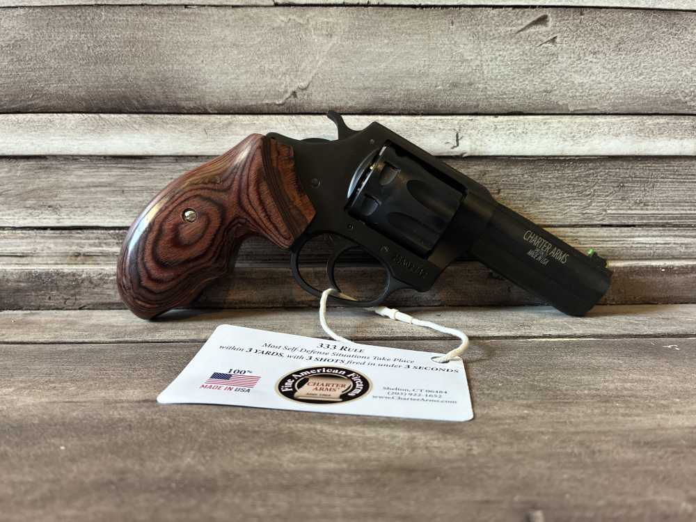 NIB CHARTER ARMS THE PROFESSIONAL 32 H&R MAG 3" BLACK/WALNUT IN STOCK -img-2