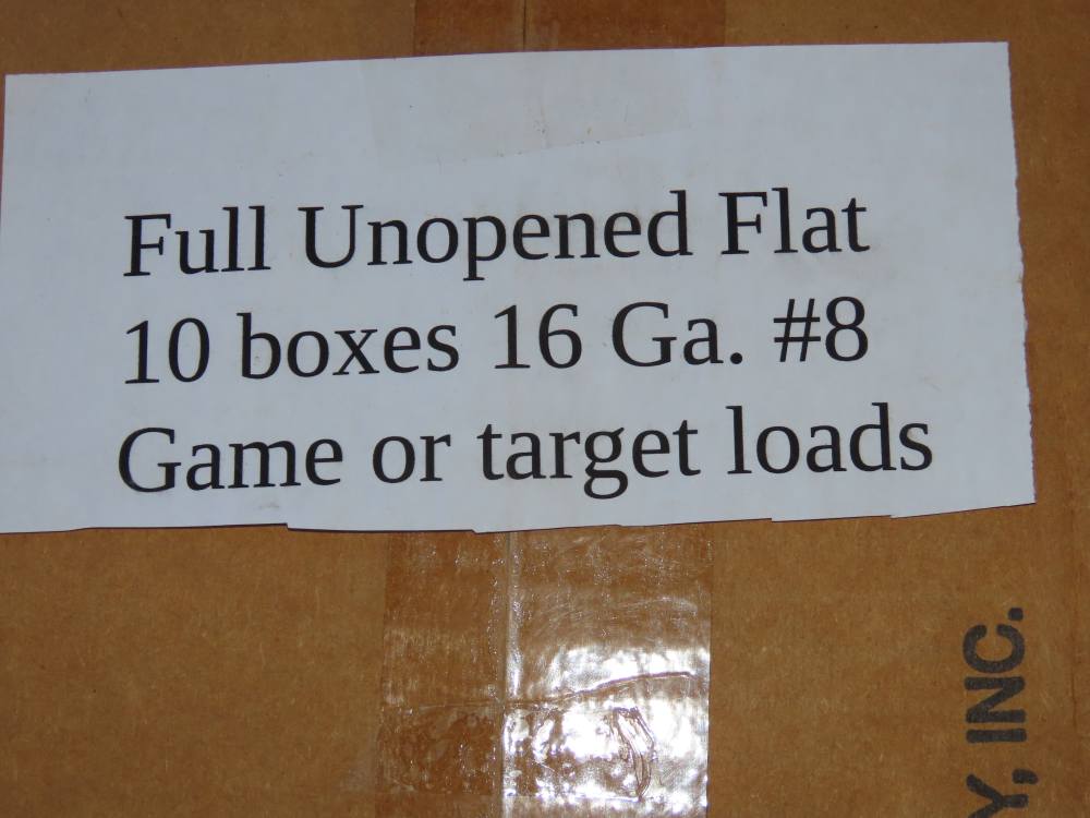 Full Flat REMINGTON 16 Ga #8 Game & Target Ammo 250 Rounds Penny No Res. -img-1
