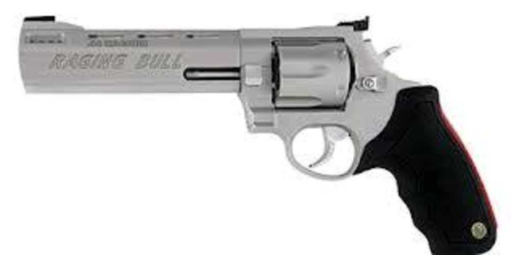 TAURUS RAGING BULL 44MAG SS 6.5" 6SH 2-444069 ADJ SGTS/PORTED-img-0