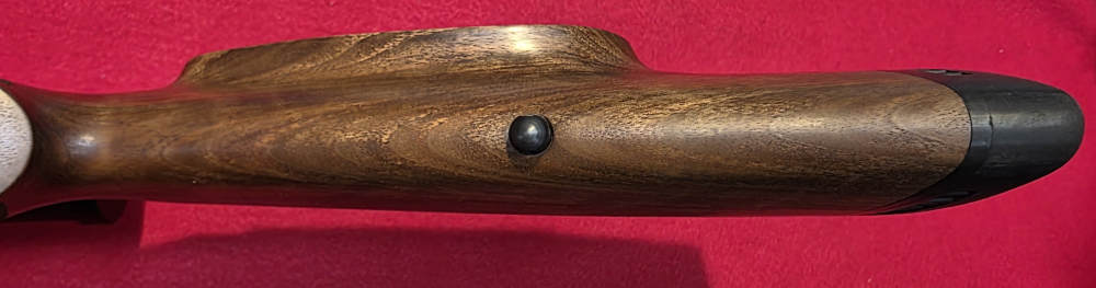 ANSCHUTZ 1771, 17Hornet-img-17